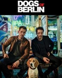 Собаки Берлина